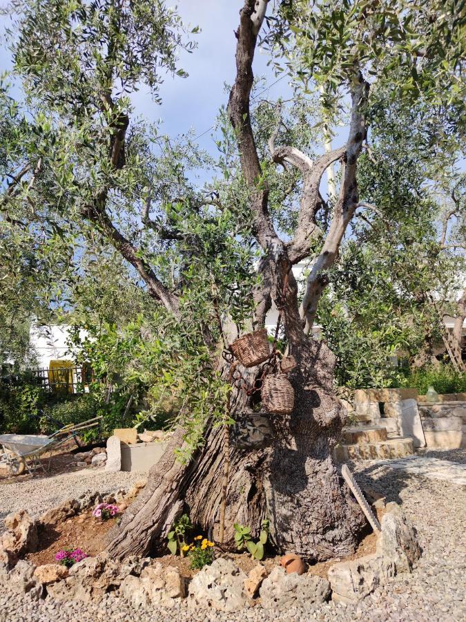 La Chianconata Βίλα Βιέστε Εξωτερικό φωτογραφία